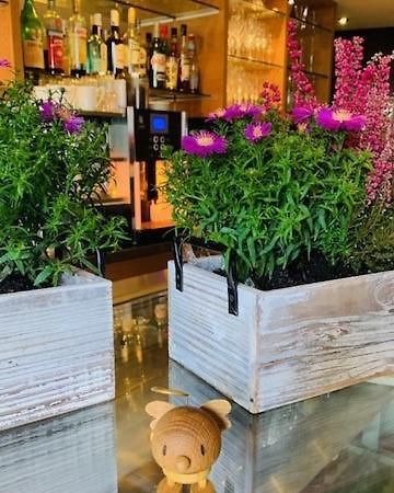 Weinhotel Eltvinum Eltville am Rhein ภายนอก รูปภาพ