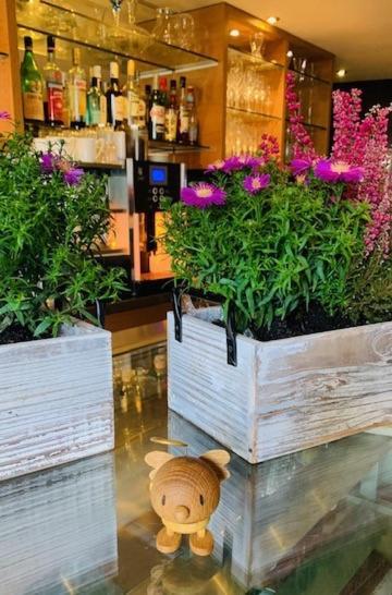 Weinhotel Eltvinum Eltville am Rhein ภายนอก รูปภาพ